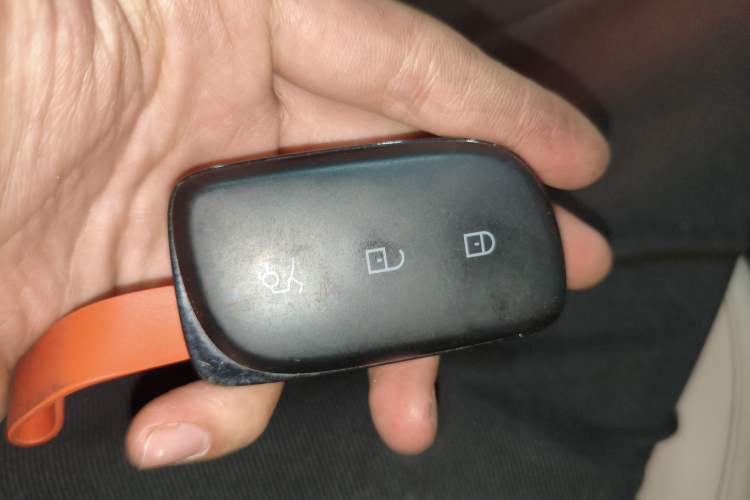 Used Lynk & Co Z20 2025 530 km Range Rear-Wheel Drive Pro Vehicle Key