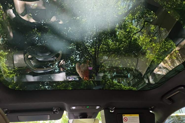 Used Lynk & Co Z20 2025 530 km Range Rear-Wheel Drive Pro Headliner