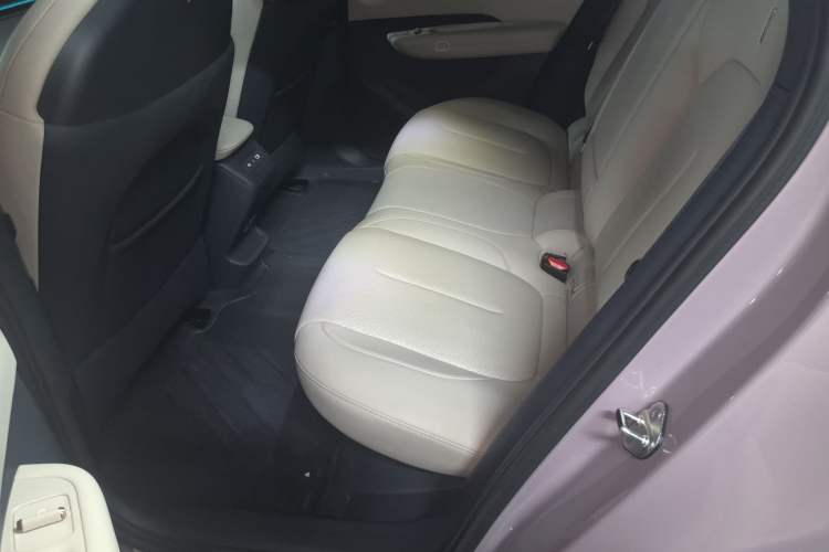 Used Lynk & Co Z20 2025 530 km Range Rear-Wheel Drive Pro Left Rear Seat
