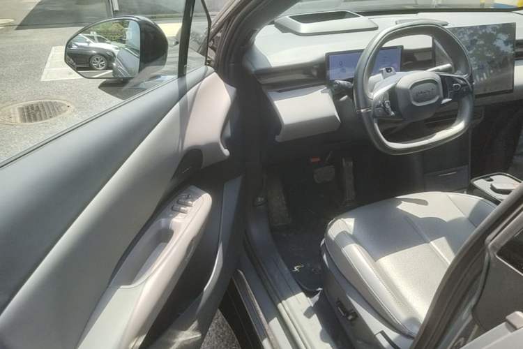 Used Lynk & Co Z20 2025 530 km Range Rear-Wheel Drive Max Driver Seat