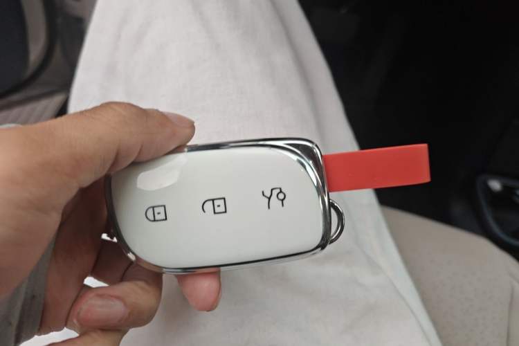 Used Lynk & Co Z20 2025 530 km Range Rear-Wheel Drive Pro Vehicle Key