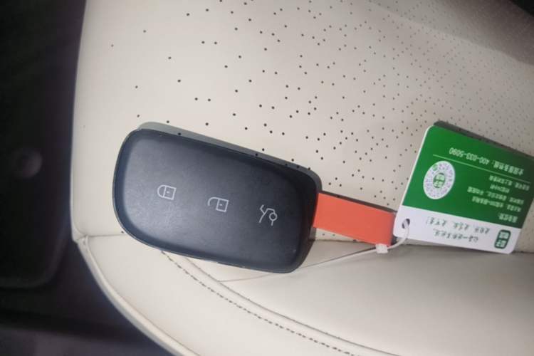 Used Lynk & Co Z20 2025 530 km Range Rear-Wheel Drive Pro Vehicle Key