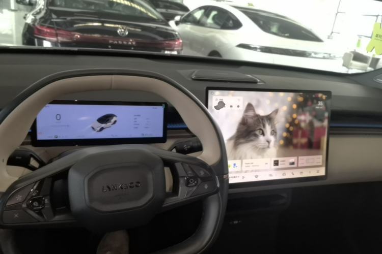 Used Lynk & Co Z20 2025 530 km Range Rear-Wheel Drive Pro Center Console