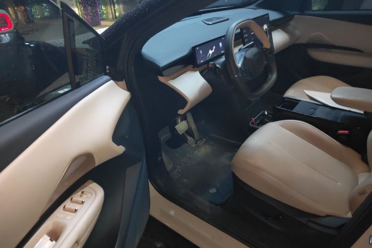 Used Lynk & Co Z20 2025 530 km Range Rear-Wheel Drive Pro Driver Seat