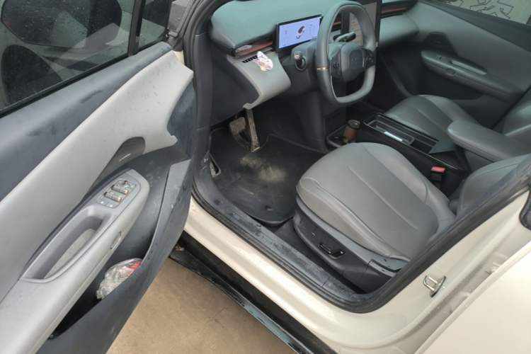 Used Lynk & Co Z20 2025 530 km Range Rear-Wheel Drive Max Driver Seat