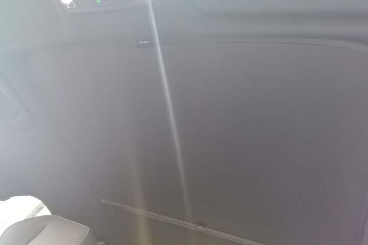 Used Lynk & Co Z20 2025 530 km Range Rear-Wheel Drive Max Headliner