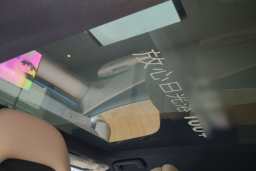 Thumbnail 20