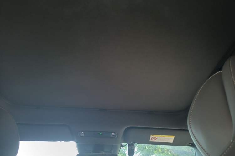 Used Lynk & Co Z20 2025 530 km Range Rear-Wheel Drive Max Headliner