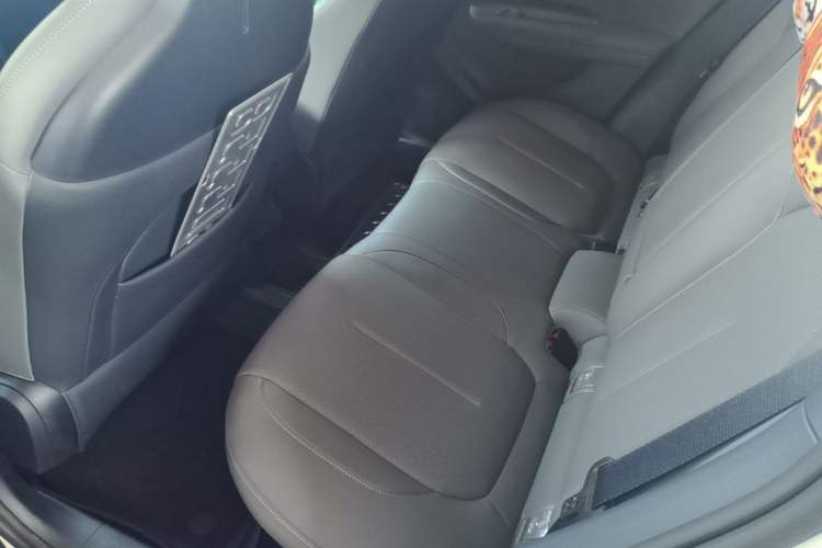 Used Lynk & Co Z20 2025 530 km Range Rear-Wheel Drive Max Left Rear Seat