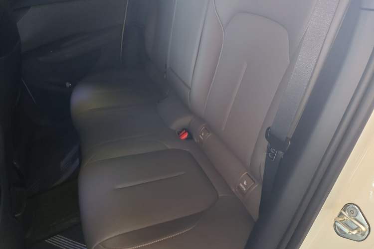 Used Lynk & Co Z20 2025 530 km Range Rear-Wheel Drive Max Left Rear Seat