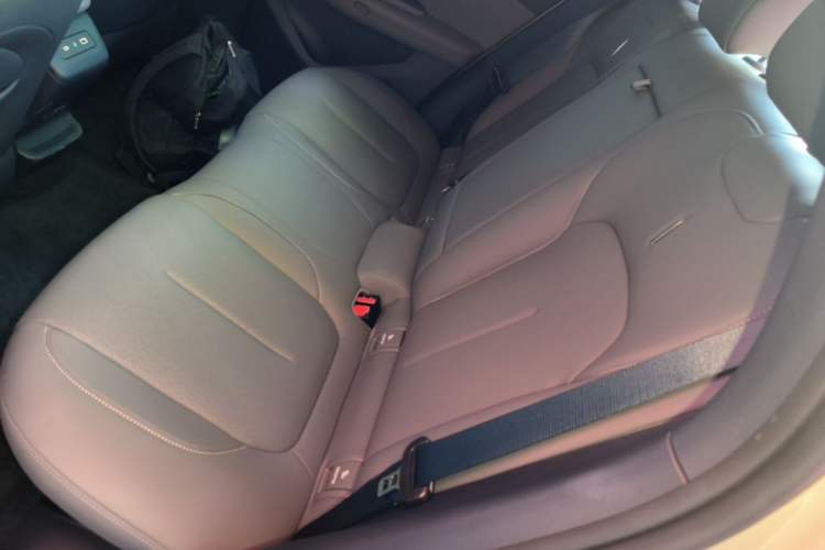Used Lynk & Co Z20 2025 530 km Range Rear-Wheel Drive Pro Left Rear Seat