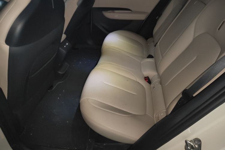 Used Lynk & Co Z20 2025 530 km Range Rear-Wheel Drive Pro Left Rear Seat