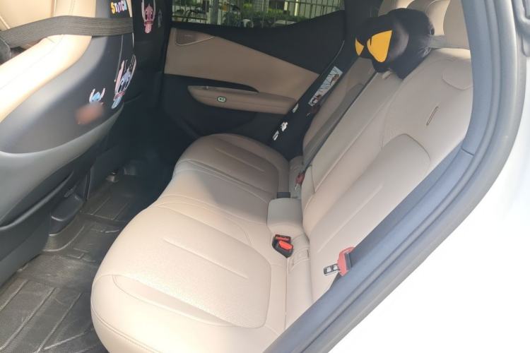 Used Lynk & Co Z20 2025 530 km Range Rear-Wheel Drive Max Left Rear Seat