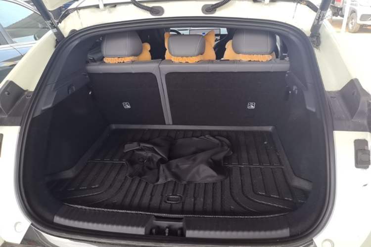 Used Lynk & Co Z20 2025 530 km Range Rear-Wheel Drive Max Trunk
