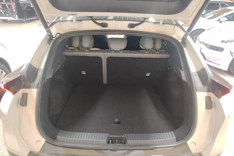 Used Lynk & Co Z20 2025 530 km Range Rear-Wheel Drive Max Trunk