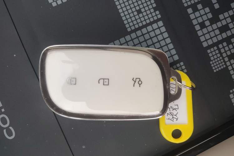 Used Lynk & Co Z20 2025 530 km Range Rear-Wheel Drive Pro Vehicle Key