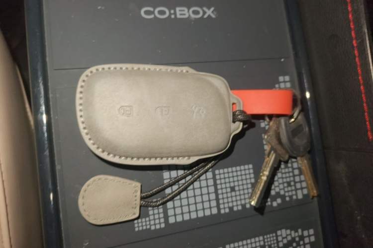 Used Lynk & Co Z20 2025 530 km Range Rear-Wheel Drive Pro Vehicle Key