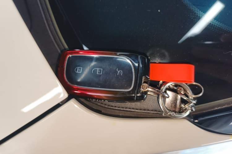Used Lynk & Co Z20 2025 530 km Range Rear-Wheel Drive Pro Vehicle Key