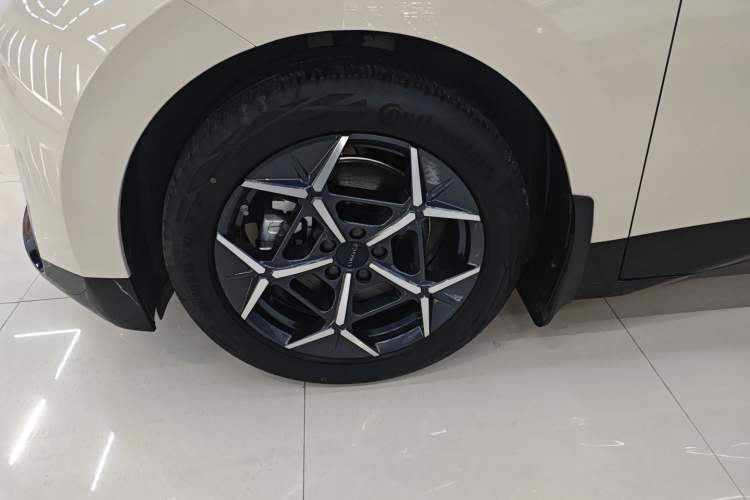 Used Lynk & Co Z20 2025 530 km Range Rear-Wheel Drive Max Exterior 4