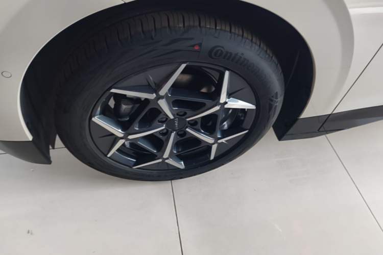 Used Lynk & Co Z20 2025 530 km Range Rear-Wheel Drive Max Exterior 4