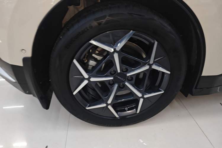 Used Lynk & Co Z20 2025 530 km Range Rear-Wheel Drive Max Exterior 5