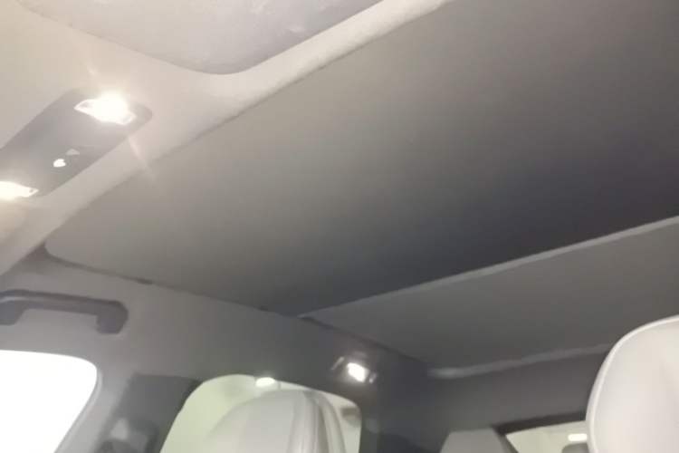 Used Lynk & Co Z20 2025 530 km Range Rear-Wheel Drive Max Headliner