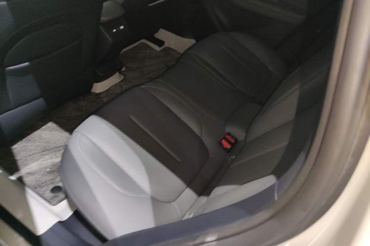 Used Lynk & Co Z20 2025 530 km Range Rear-Wheel Drive Pro Left Rear Seat