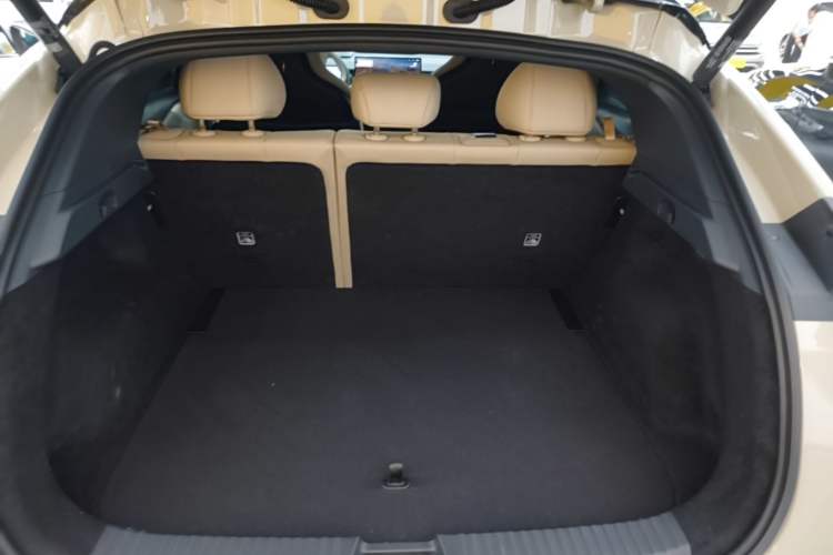 Used Lynk & Co Z20 2025 530 km Range Rear-Wheel Drive Max Trunk