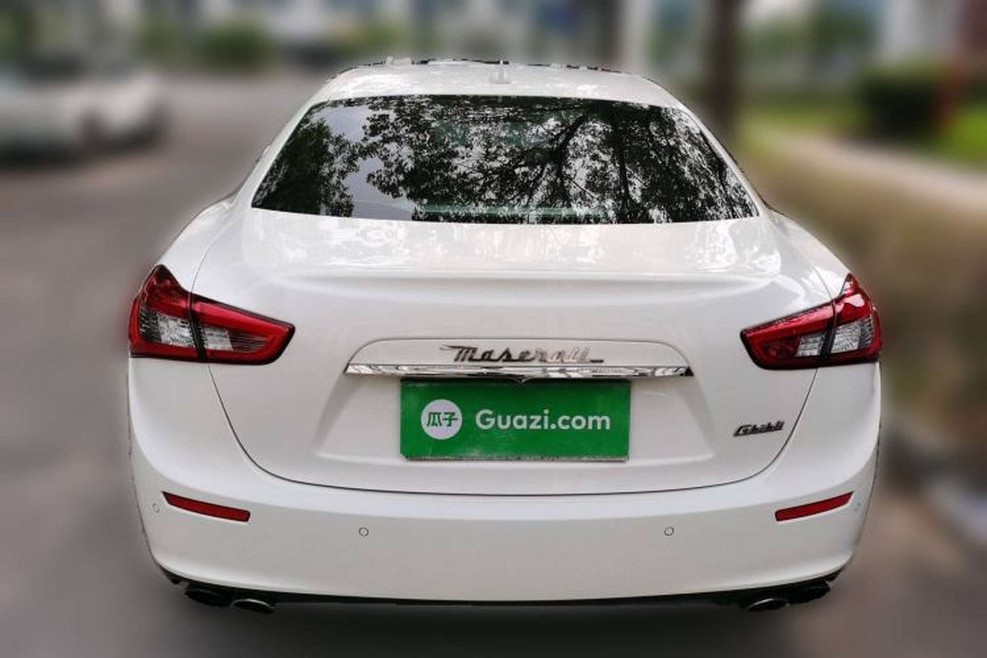 Used Maserati Ghibli 2014 3.0T Standard Edition Rear