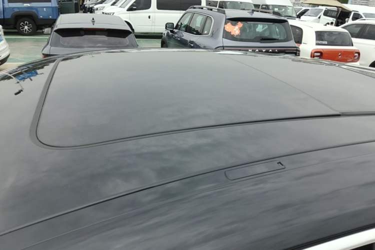 Used Maserati Levante 2019 3.0T Standard Version China VI Roof