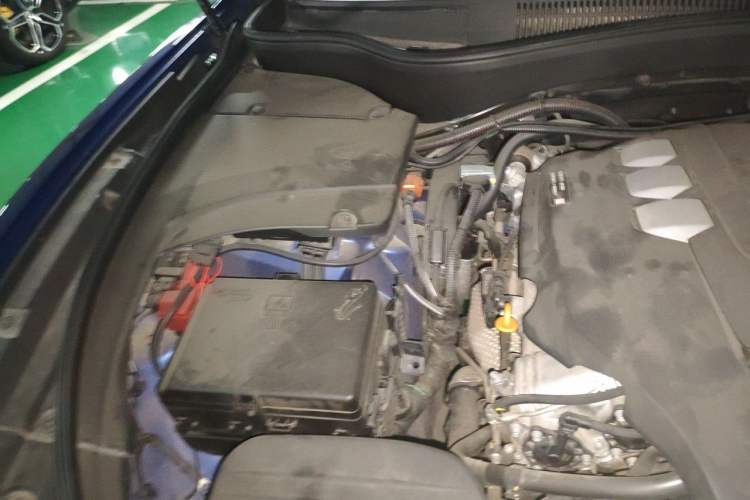 Used Maserati Levante 2019 3.0T Standard Version China VI Engine Bay Right