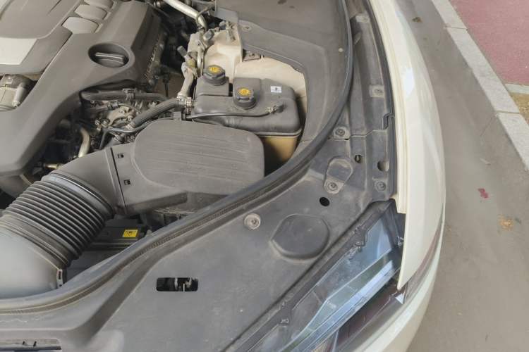 Used Maserati Levante 2020 3.0T Standard Edition Engine Bay Left