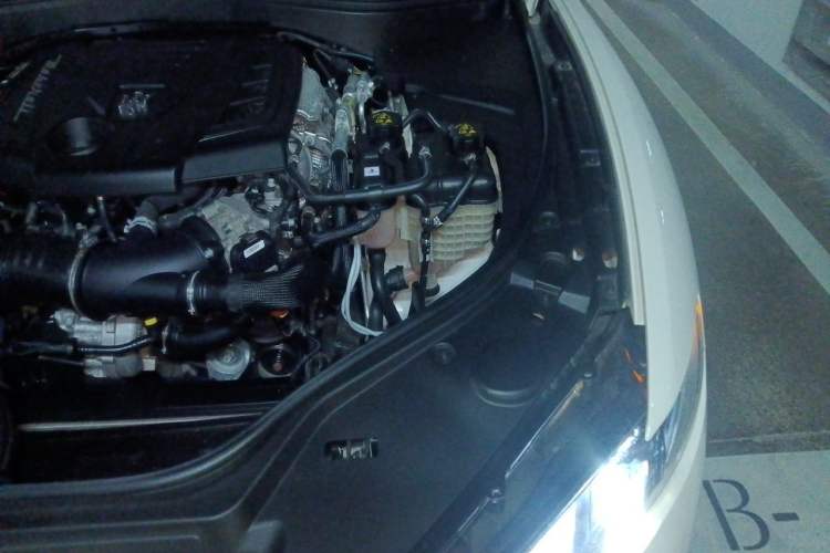 Used Maserati Levante 2022 2.0T GT Sharp Edition Engine Bay Left
