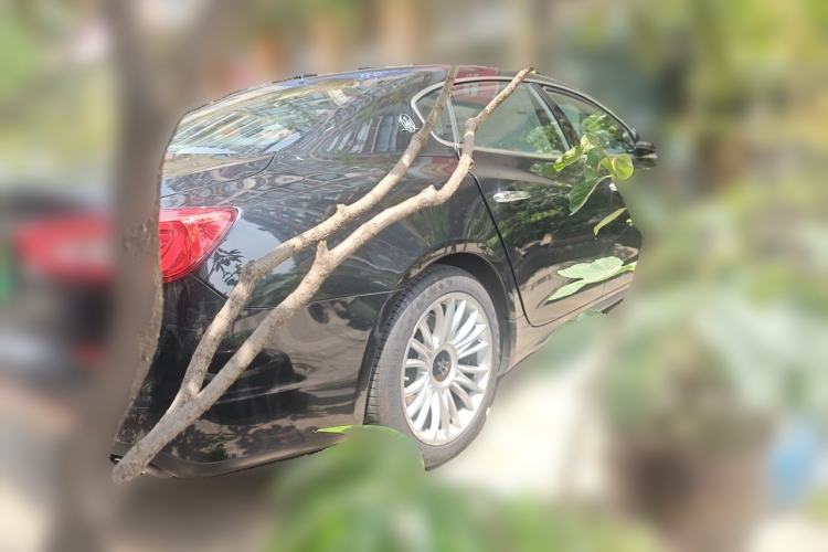 Used Maserati President 2013 3.0T Standard Model Rear Right 45 Deg
