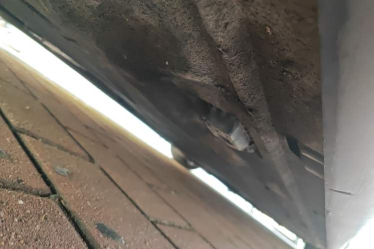 Used Maserati President 2013 3.0T Standard Model Chassis Rear Right