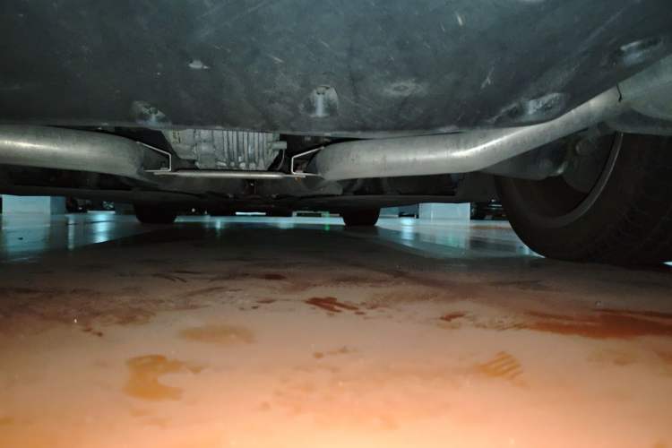 Used Maserati President 2013 3.0T Standard Model Chassis Rear