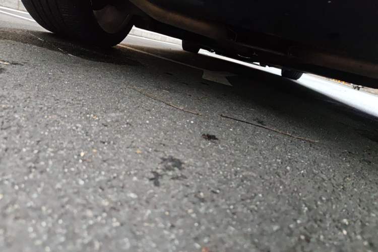 Used Maserati President  Chassis Rear