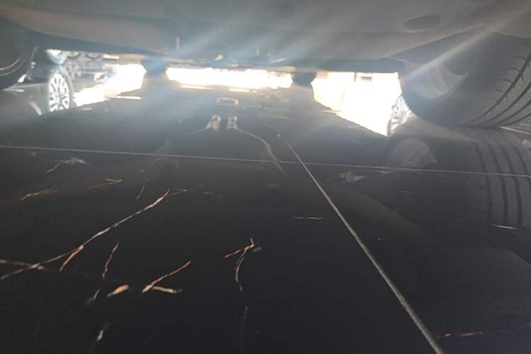 Used Maserati President  Chassis Rear