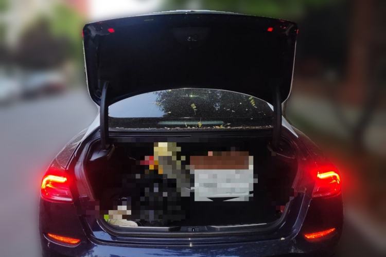 Used Maserati President  Trunk