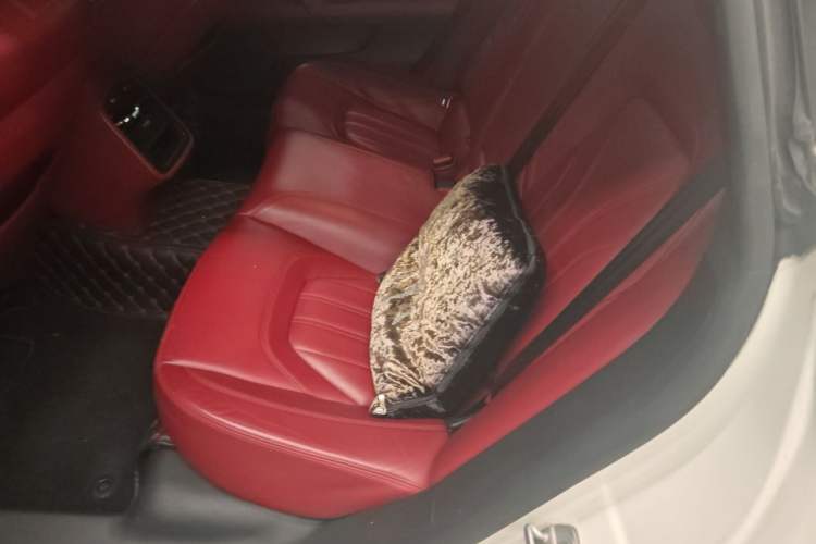 Used Maserati President  Left Rear Seat