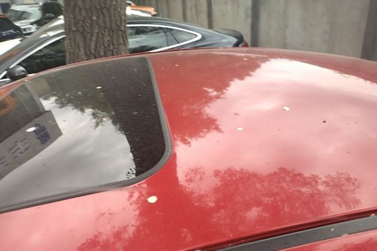 Used Mazda Atenza 2014 2.0L Blue Sky Luxury Edition Roof