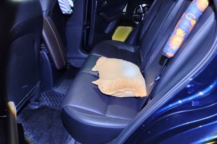 Used Mazda CX-30 2021 2.0L Automatic Joyful Edition Left Rear Seat