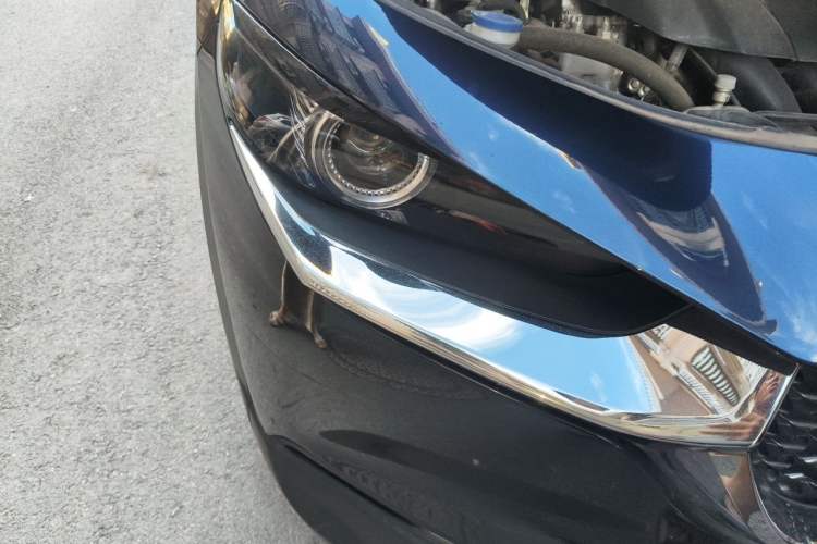Used Mazda CX-30 2022 2.0L Automatic YAYUE Version Right Front Headlight