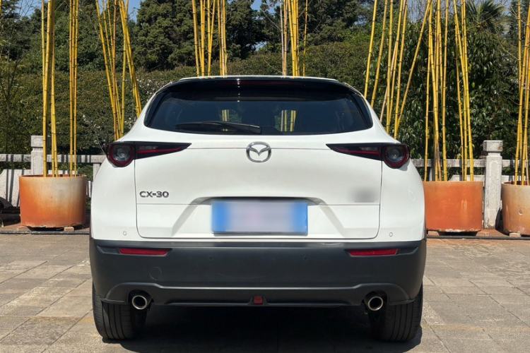 Used Mazda CX-30 2024 2.0L Automatic YAYUE Trim Exterior 3