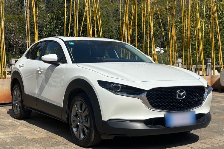 Used Mazda CX-30 2024 2.0L Automatic YAYUE Trim Exterior 6