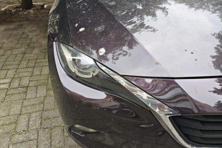 Used Mazda CX-4 2018 2.0L Automatic Two-Wheel Drive Blue Sky Dynamic Version China V Standard Right Front Headlight