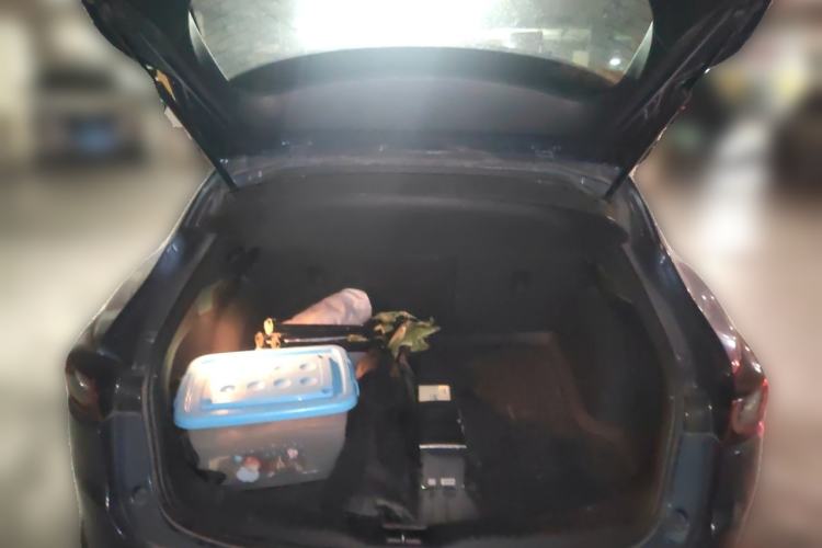Used Mazda CX-4 2020 2.0L Automatic Two-Wheel Drive Blue Sky Dynamic Edition Trunk