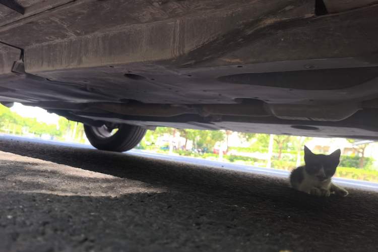Used Mazda CX-5 2013 2.5L Automatic 4x4 Flagship Edition Chassis Front Right