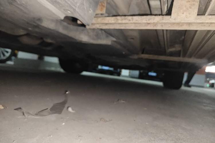 Used Mazda CX-5 2013 2.0L Automatic Two-Wheel Drive Comfort Version Chassis Rear Right