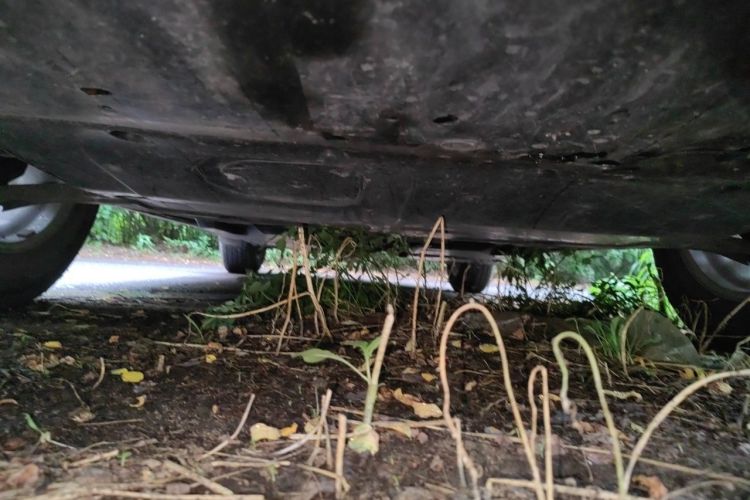 Used Mazda CX-5 2014 2.0L Automatic Two-Wheel Drive Urban Version Chassis Front
